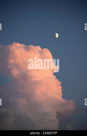 Pastelltöne Himmel in der Blauen Stunde, mit rosa flauschige Wolken und Halbmond. Vertikale erschossen. Stockfoto