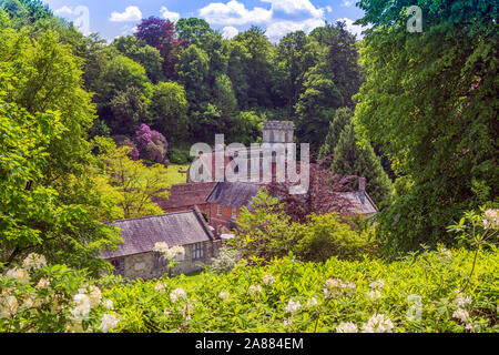 Die Pfarrkirche und der Spread Eagle Inn sind durch Neue federblatt Wachstum von Stourhead Gardens, Wiltshire, England umgeben, Großbritannien Stockfoto