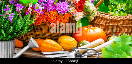 Herbst Garten - Blumen und Kürbisse Stockfoto