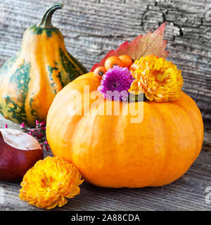 Herbstschmuck mit Kürbissen und Kastanien auf Holzhintergrund Stockfoto