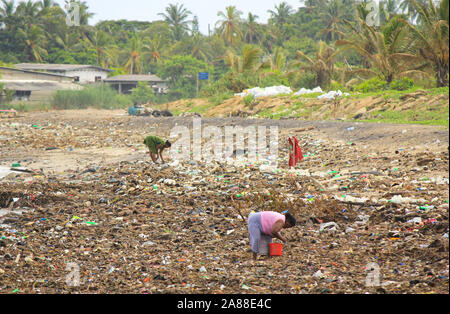 Arme Frauen Müll in den Mülleimer in der Nähe von Stumm ein Meer in Sri Lanka sammeln Stockfoto