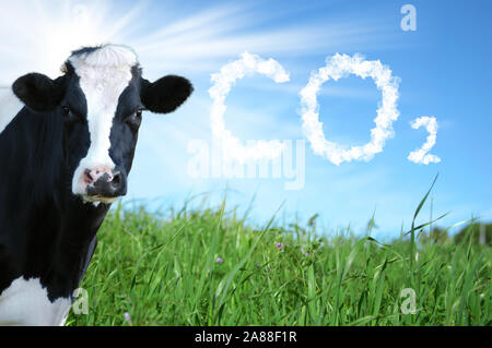 Kühe Zucht- und CO2-Emission Stockfoto