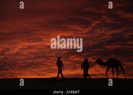 Silhouetten von zwei Männern, die mit einem Kamel (Dromedar) in der Wüste gegen dunkel, Rot, bewölkten Himmel. Stockfoto