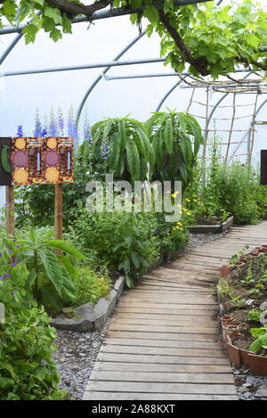 Innenraum eines poly Tunnel am Zentrum für Alternative Technologie in Pantperthog, Wales, Großbritannien Stockfoto