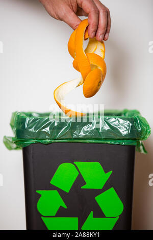 Hand Orange Peel in Recycling bio bin. Person im Haus Küche Trennung von Abfällen. Schwarz Papierkorb mit grünen Tasche und recycling Symbol. Stockfoto