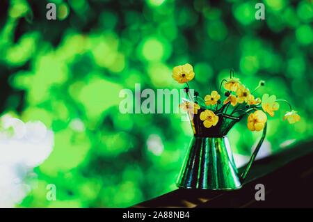 Schönen Blumenstrauß Ranunkeln oder Daisy in kleinen Zinn Glas auf sonnigen Bokeh grünen und gelben Hintergrund, countriyside Konzept. Selektive konzentrieren. Stockfoto