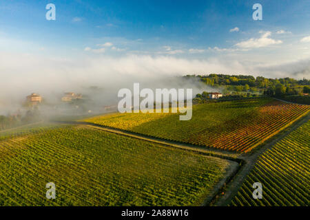 Luftaufnahme von einer ländlichen Landschaft bei Sonnenaufgang in der Toskana. Ländlichen Bauernhof, Weinberge, grüne Felder, Sonne und Nebel. Italien, Europa. Stockfoto