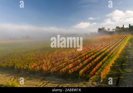 Luftaufnahme von einer ländlichen Landschaft bei Sonnenaufgang in der Toskana. Ländlichen Bauernhof, Weinberge, grüne Felder, Sonne und Nebel. Italien, Europa. Stockfoto