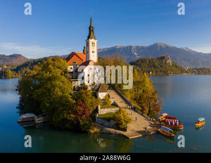 Luftaufnahme der bunten Wald und Bleder See mit einer kleinen Insel mit einer Kirche. Sonnenaufgang in Slowenien im Herbst. Stockfoto
