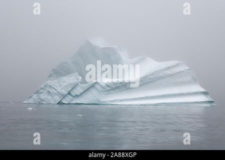 Herbst im Øfjord, Scoresby Sund, Kangertittivaq, Grönland, Dänemark. Schwimmende Eisberge im Fjord im Herbst, Kangertittivaq, Ostgrönland Stockfoto