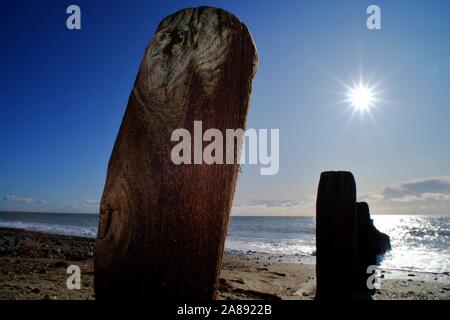 Lancing, West Sussex, UK. 7. November 2019. Die Menschen in der Sonne an der Sussex Coast © Peter Cripps/Alamy leben Nachrichten Stockfoto