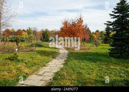 Gasse, die mit verschiedenen Arten von Bäumen und Sträuchern, die spezifisch für das gemäßigte Klima, im botanischen Garten in der Nähe von Ploiesti, Rumänien Stockfoto