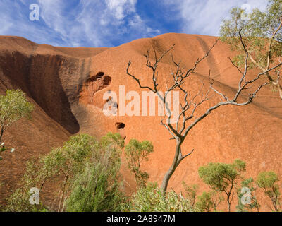 Uluru oder Ayers Rock, ist ein massiver Sandstein monolith im Herzen des Northern Territory ariden 'Red Center'. Stockfoto