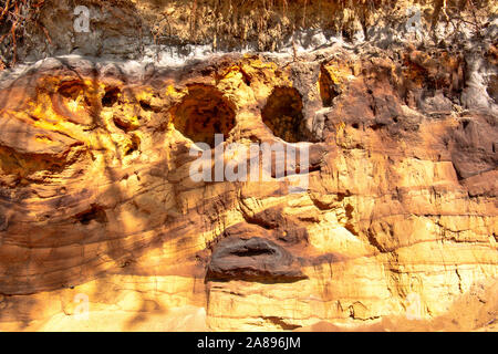 Spodosol oder Podzol überlagert durch eine mittelalterliche schalten Düne im Westen Deutschlands Stockfoto