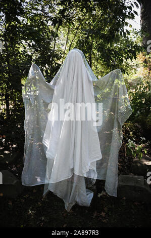 Gespenst im Wald Stockfoto