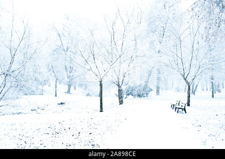 Winter Landschaft mit Bäumen und Masse von Schnee bedeckt Stockfoto