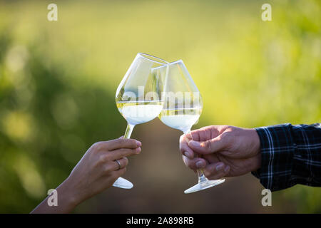 Paar Weingläser gegeneinander in Weinbergen. Hände halten Weingläser Stockfoto