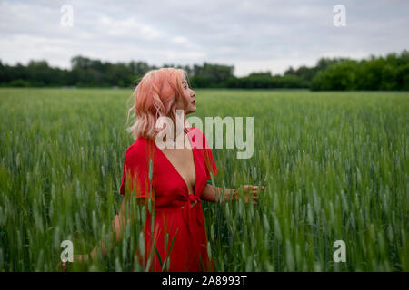 Frau mit rosa Haaren trägt rotes Kleid in Weizenfeld Stockfoto