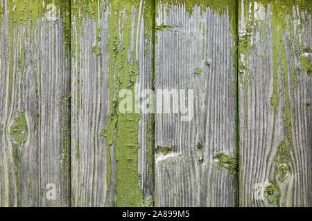 Holz Textur mit Peeling und Fading grüne Farbe, alte Platten Verkleidung der Fassade eines Holz- Haus, abstrakten Hintergrund. Stockfoto