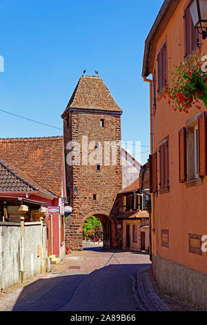 Strass enansicht, Häuserfronten, Stadttor, Les Remparts de Wangen Stockfoto