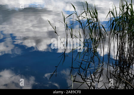 Zusammenfassung von Schilfgras und Wolken in Esthwaite Water See in Lake District National Park Cumbria England wider Stockfoto