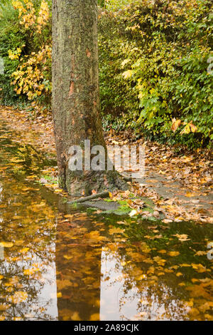 Überflutete Dorfstraßen in England im Herbst Stockfoto