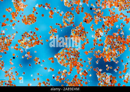 Abstrakt Blau Hintergrund mit Wassertropfen auf Glas und Glitter Partikeln Stockfoto