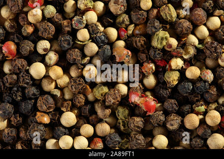 Extreme Nahaufnahme von bunten Pfeffer mischen. Makro Textur essen Hintergrund Stockfoto