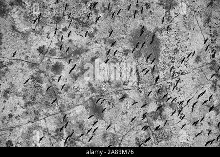 Strukturen auf einer alten Mauer, fliegende Kräne Stockfoto