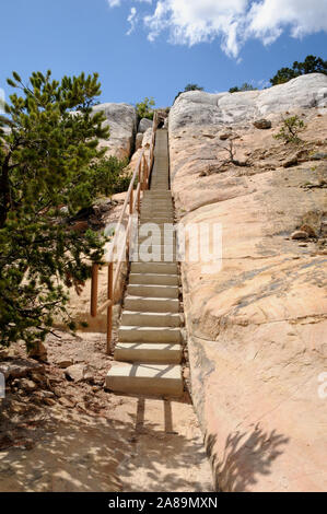 Einen Pfad und Schritte bis zu (oder von) den Gipfel des El Morrow, ein Sandstein cuesta im Nordwesten von New Mexico. Stockfoto