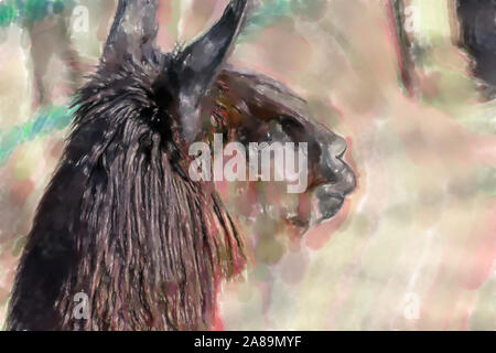 Aquarell Abbildung: Lama wissenschaftlicher Name Lama glama, aus der Familie der Kamele mit Fuzzy Bokeh im Hintergrund, die Tier- und Pflanzenwelt Stockfoto