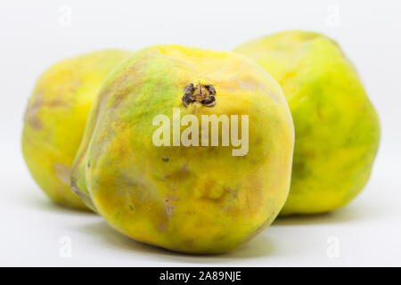 Frucht des Eugenia stipitata genannt Araza und typische vom Amazonas in Südamerika Stockfoto