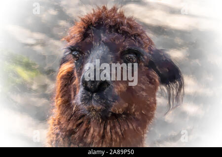 Aquarell Abbildung: Lama wissenschaftlicher Name Lama glama, aus der Familie der Kamele mit Fuzzy Bokeh im Hintergrund, die Tier- und Pflanzenwelt Stockfoto