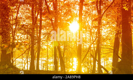 Ein malerischer Herbst Blick von Sonnenlicht durch Bäume auf einem See. Stockfoto