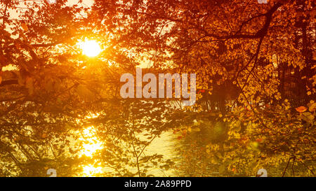Ein malerischer Herbst Blick von Sonnenlicht durch Bäume auf einem See. Stockfoto