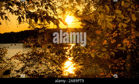 Ein malerischer Herbst Blick von Sonnenlicht durch Bäume auf einem See. Stockfoto