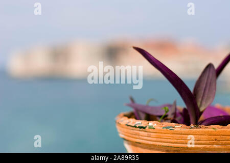 Dubrovnik Kroatien Stockfoto