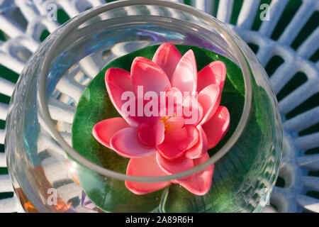 Lilly rot Stockfoto