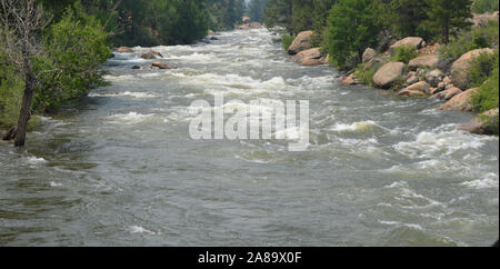 Anfang Sommer in Colorado: Arkansas River läuft Hoch und Schnell nördlich von Buena Vista Stockfoto