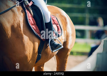 Der Fuß des Reiters, Sauerampfer, sitzend auf einem Pferd in den Sattel, die neben dem weißen Zaun des Corral, in die Steigbügel geht und durch sunl beleuchtet Stockfoto