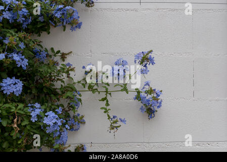 Urlaub Spanien Resort El Arenal städtische Straßen Holiday Resort Stockfoto