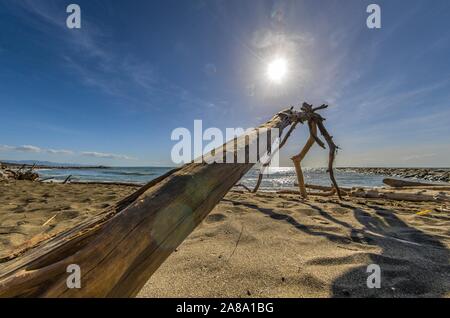 Blick auf die marine die Küste mit einem Strände trunk Stockfoto