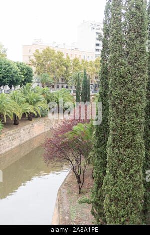 Straße Bild von Palma im Nassen mit Menschen Stockfoto