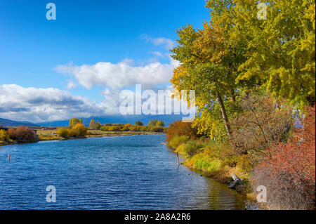 Falls Farben entlang der Williamson River in ländlichen Klamath County, Oregon Stockfoto