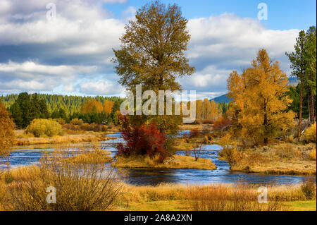 Falls Farben entlang der Williamson River in ländlichen Klamath County, Oregon Stockfoto