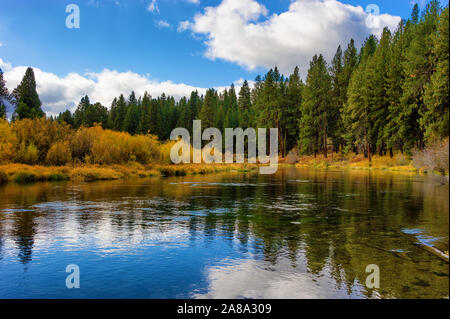 Falls Farben entlang der Williamson River in ländlichen Klamath County, Oregon Stockfoto