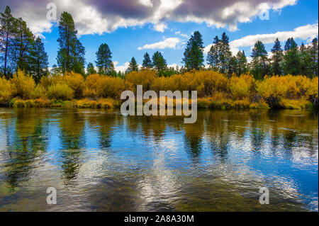 Falls Farben entlang der Williamson River in ländlichen Klamath County, Oregon Stockfoto
