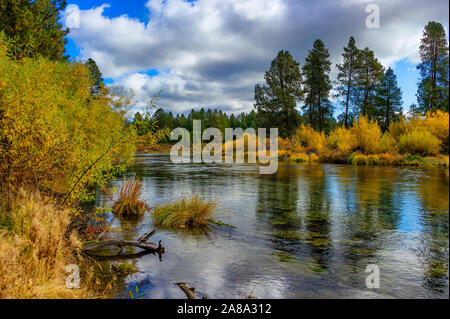 Falls Farben entlang der Williamson River in ländlichen Klamath County, Oregon Stockfoto