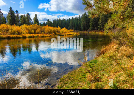 Falls Farben entlang der Williamson River in ländlichen Klamath County, Oregon Stockfoto