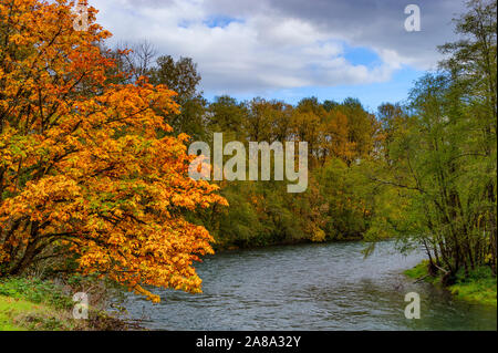 Herbst Farben entlang der mittleren Gabel des Willamette River in der Nähe von Oak Ridge, Tennessee Stockfoto